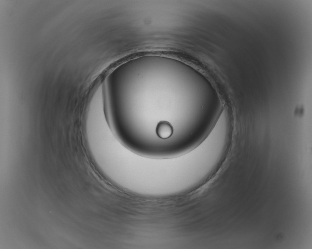 X0000112751449200909171214