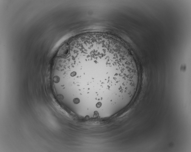 X0000112751450200909171214