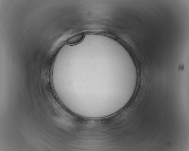 X0000112751451200909171214