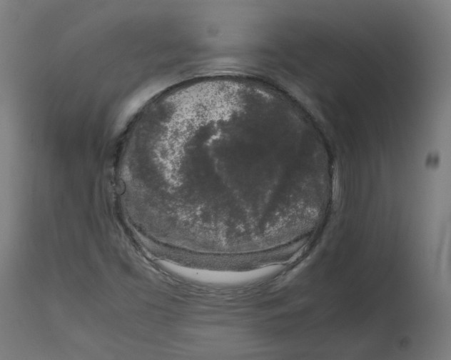 X0000112751453200909171214