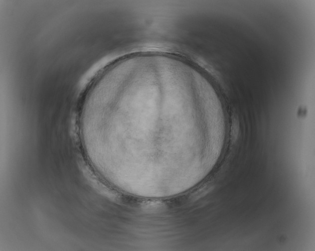 X0000112751454200909171214