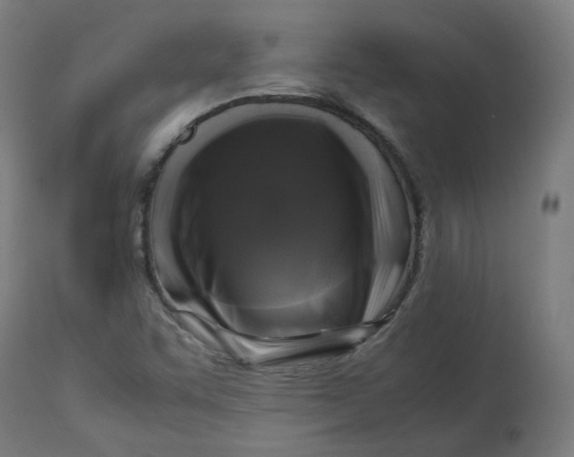 X0000112751455200909171214