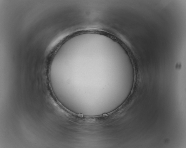 X0000112751456200909171214