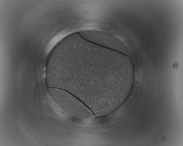 X0000112751461200909171214