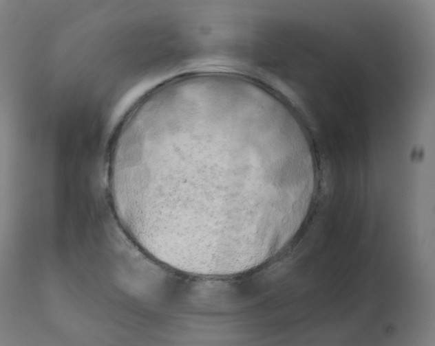 X0000112751462200909171214