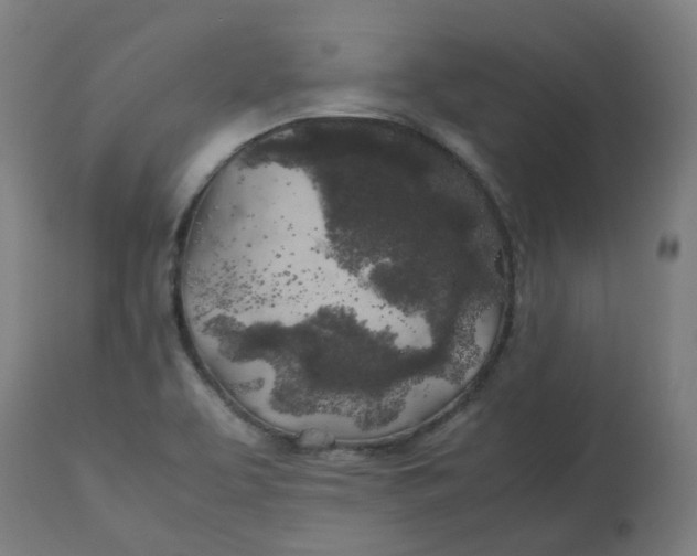 X0000112751463200909171214