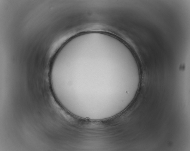 X0000112751464200909171214