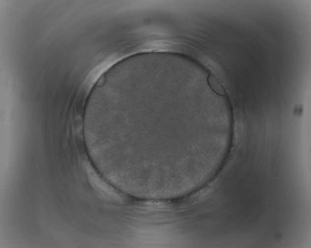 X0000112751465200909171214