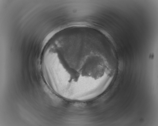 X0000112751466200909171214