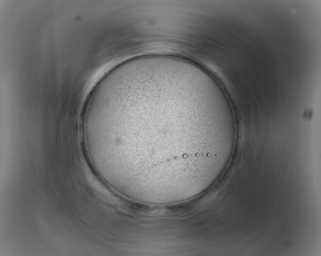 X0000112751467200909171214