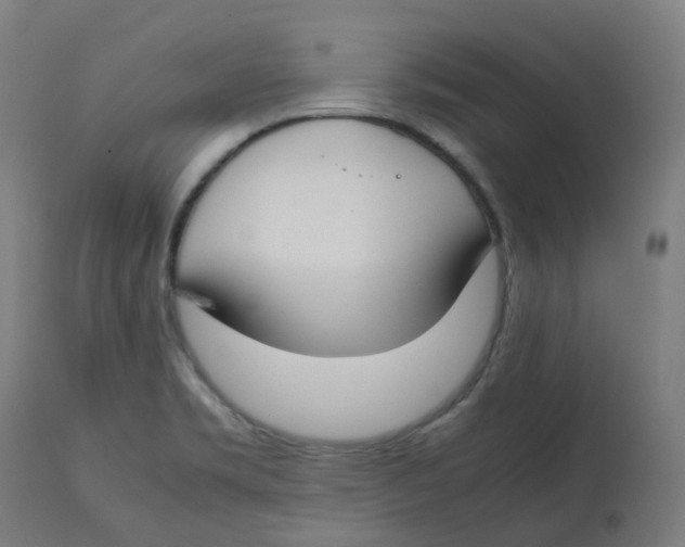 X0000112751469200909171214