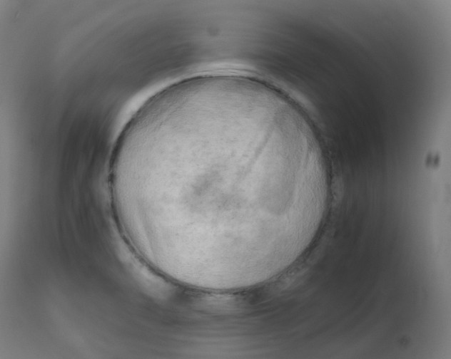 X0000112751470200909171214