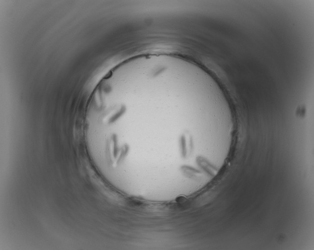 X0000112751473200909171214