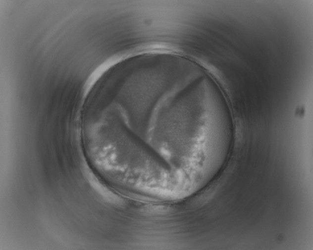 X0000112751474200909171214