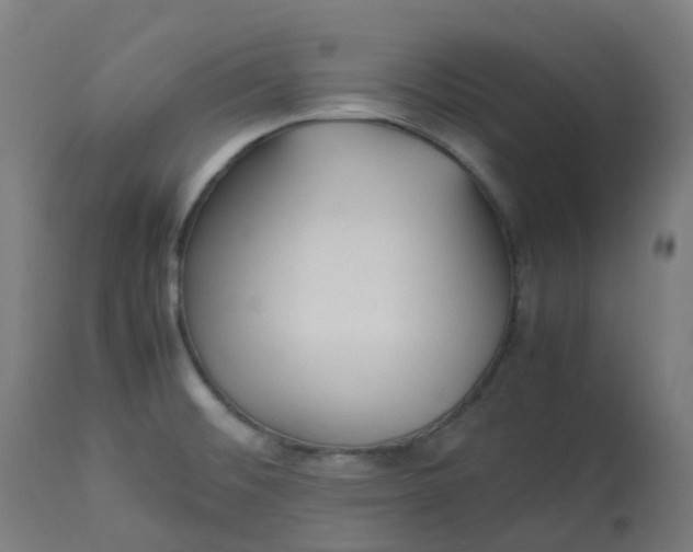 X0000112751476200909171214