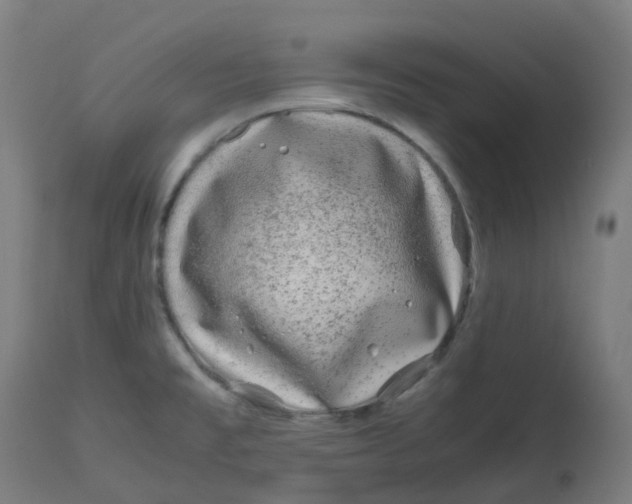 X0000112751477200909171214