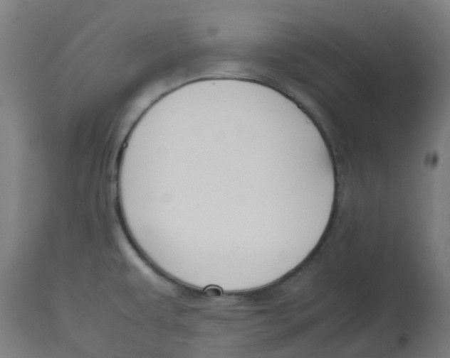 X0000112751479200909171214