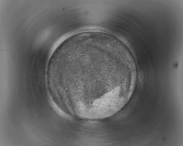 X0000112751482200909171214