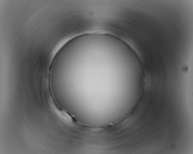 X0000112751484200909171214