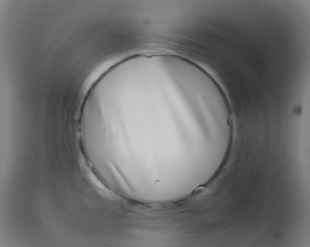 X0000112751485200909171214