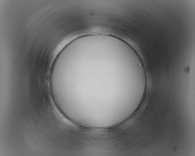 X0000112751486200909171214