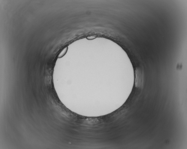 X0000112751491200909171213