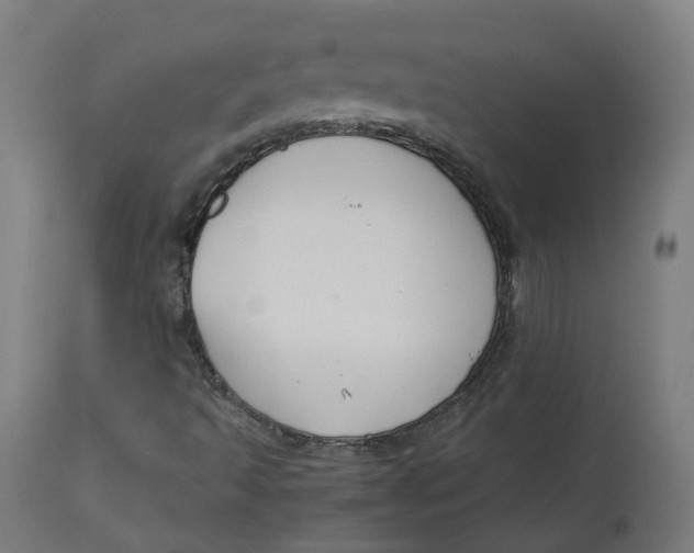 X0000112751493200909171213