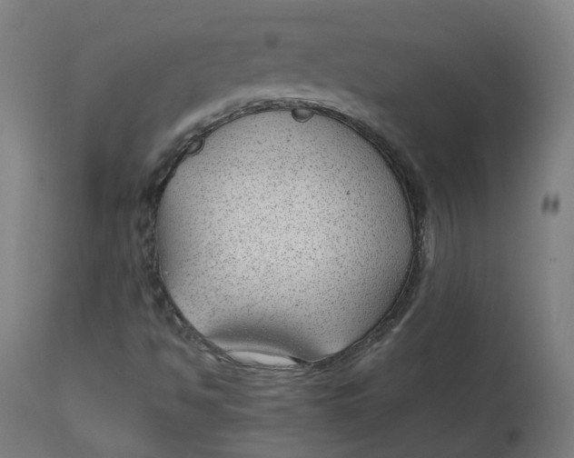 X0000112751494200909171213