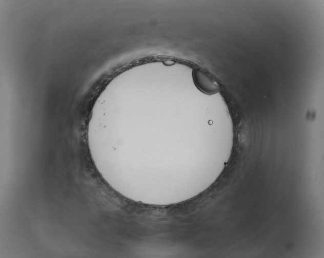 X0000112751495200909171213