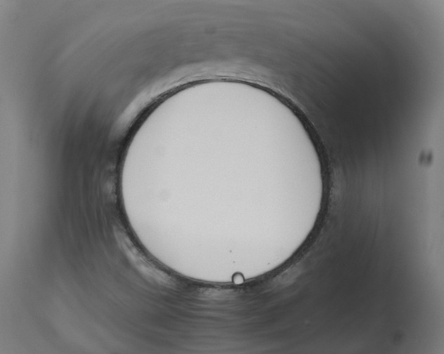 X0000112751499200909171213