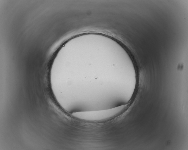 X0000112751502200909171213