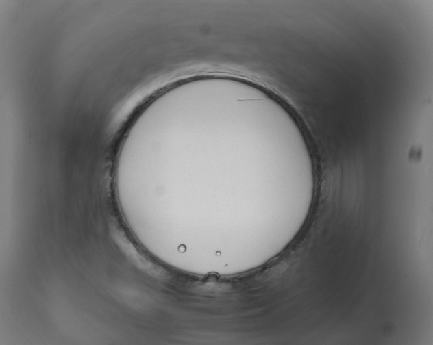 X0000112751503200909171213