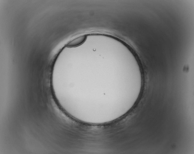 X0000112751504200909171213