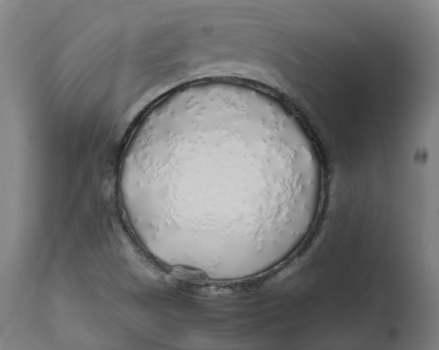 X0000112751505200909171213