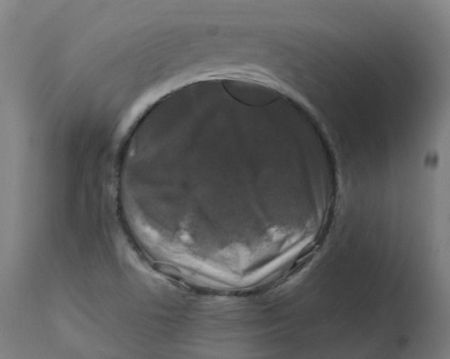 X0000112751506200909171213