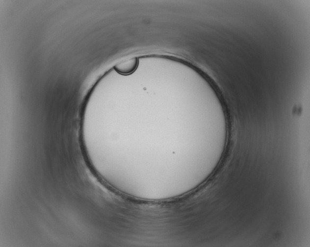 X0000112751508200909171213