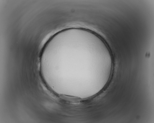 X0000112751509200909171213