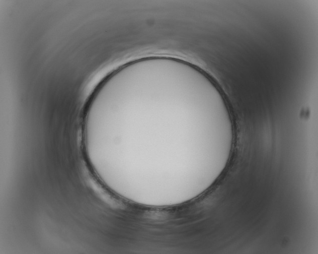 X0000112751511200909171213