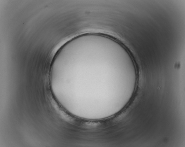 X0000112751513200909171213