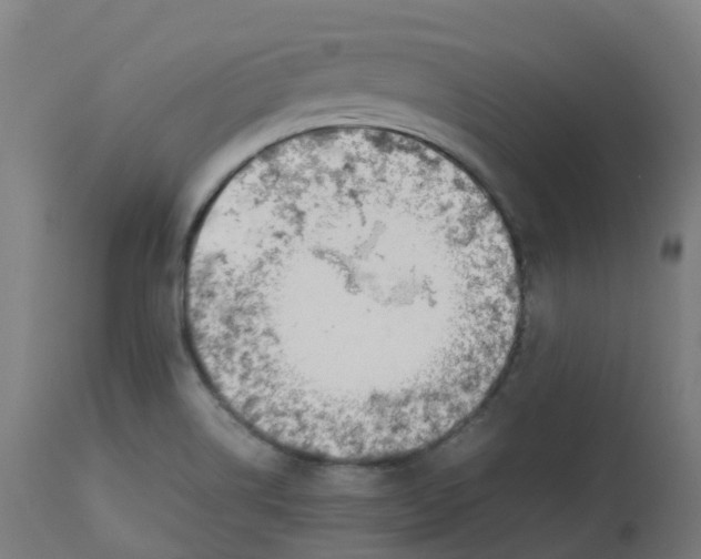 X0000112751514200909171214