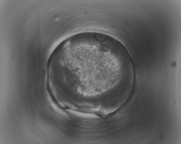 X0000112751515200909171214