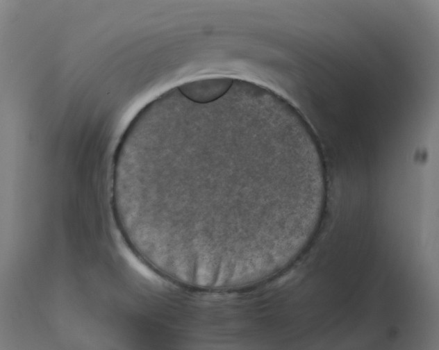 X0000112751519200909171214