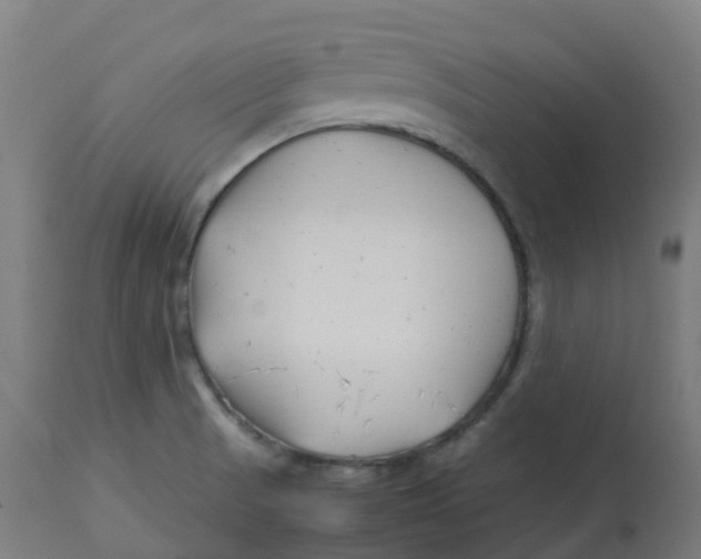 X0000112751521200909171214