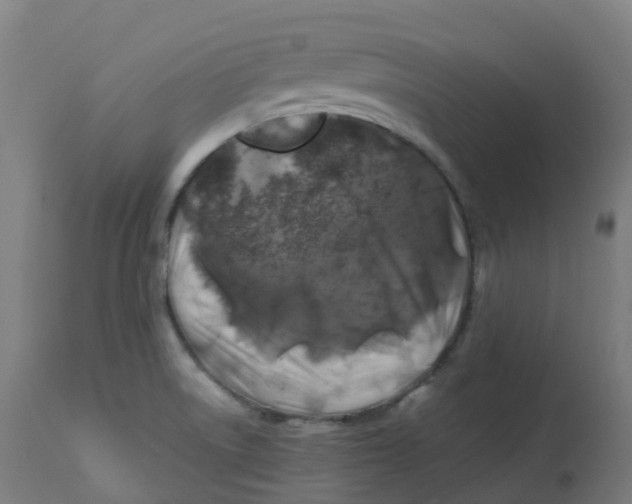 X0000112751522200909171214