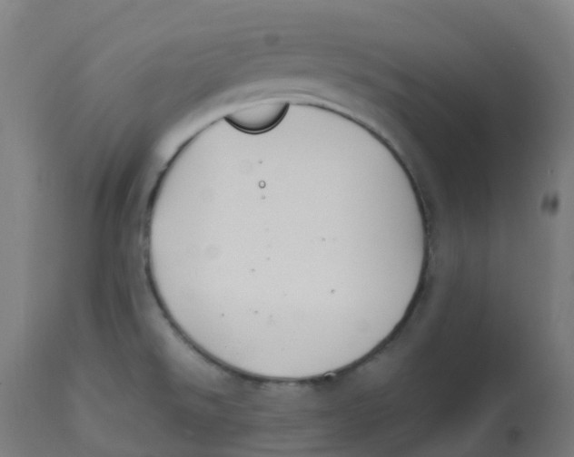 X0000112751526200909171214