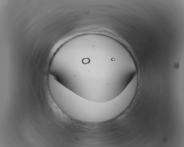 X0000112751530200909171214