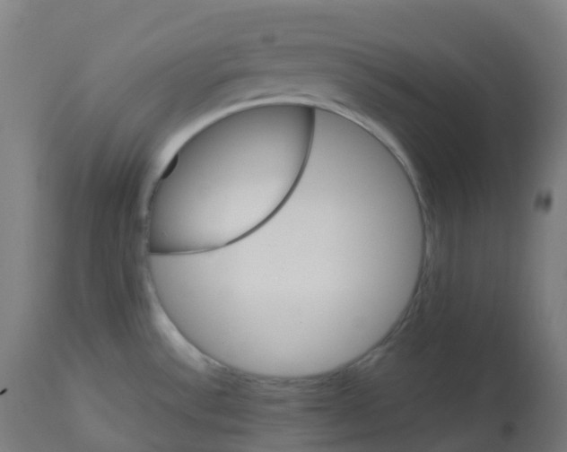 X0000112751532200909171214