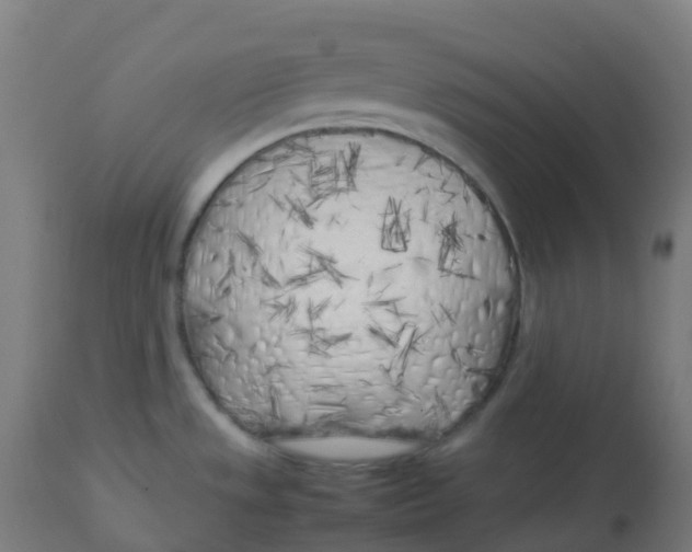X0000112751533200909171214