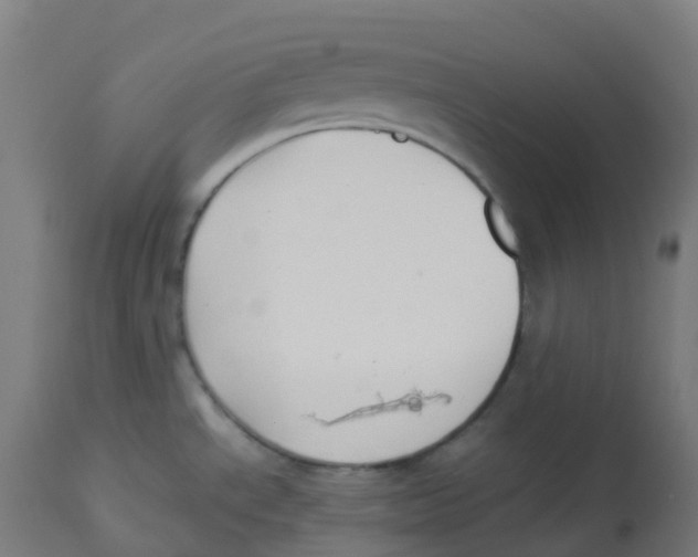 X0000112751534200909171214