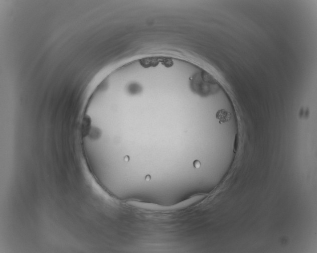 X0000112751536200909171214